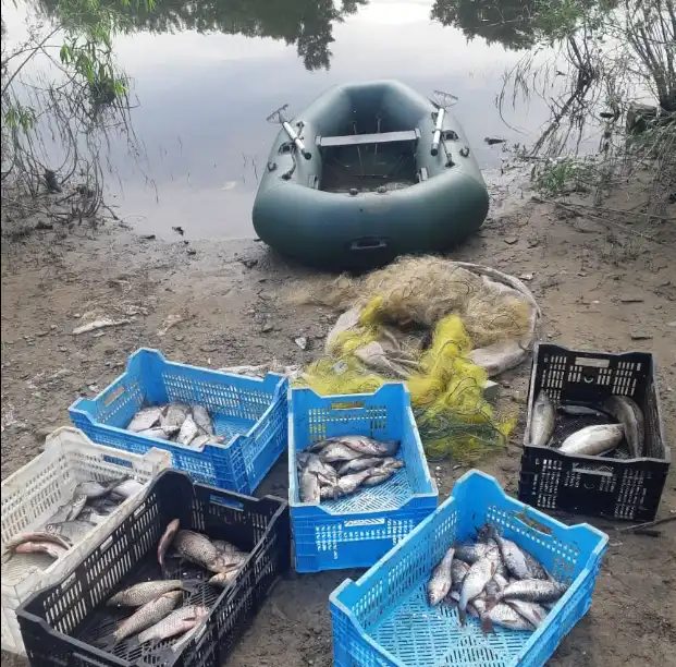 браконьєри