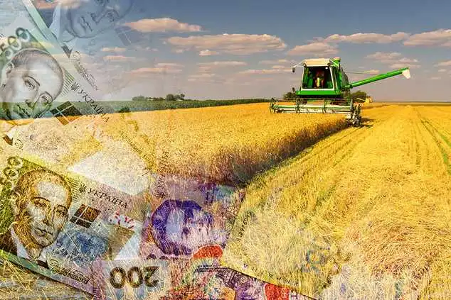 На Кіровоградщині вп'ятеро зменшили дотації для аграріїв фото 1