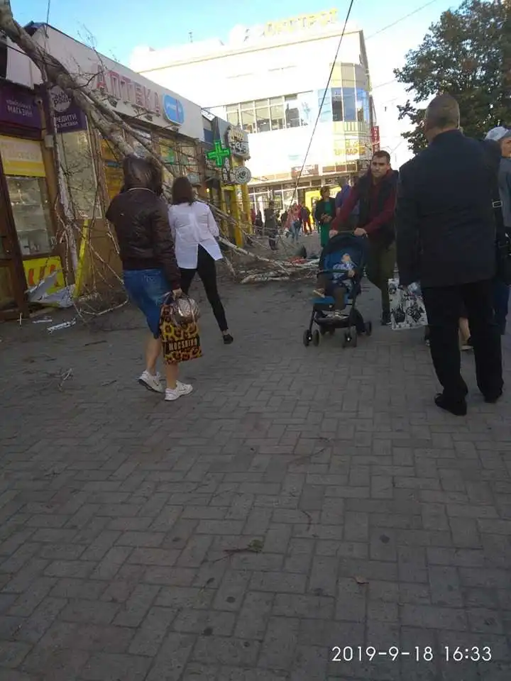 У центрі Кропивницького біля готелю "Київ" на жінку впало дерево (ФОТО)