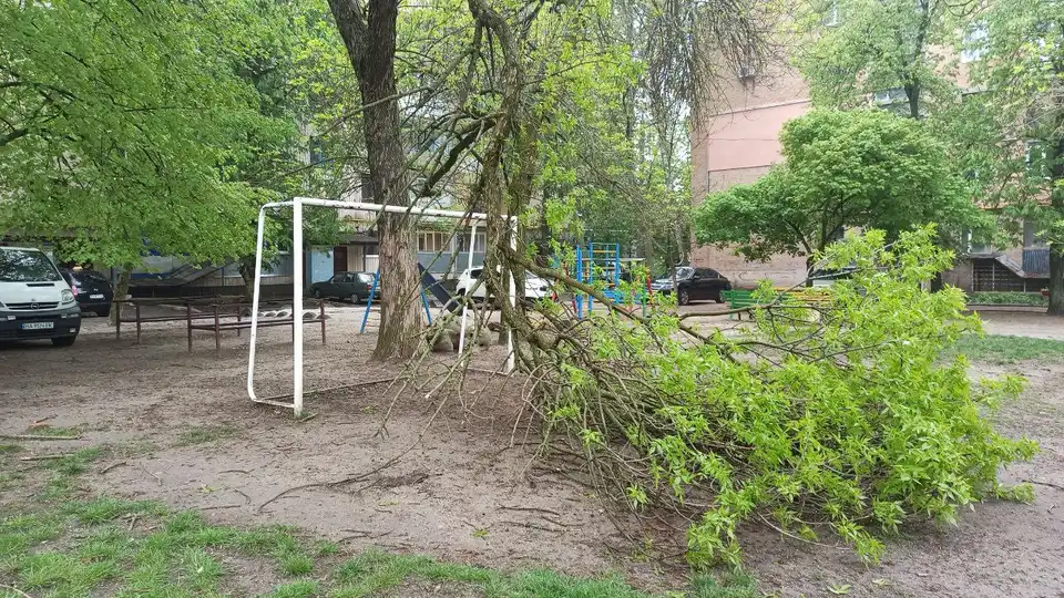 наслідки негоди Кропивницький