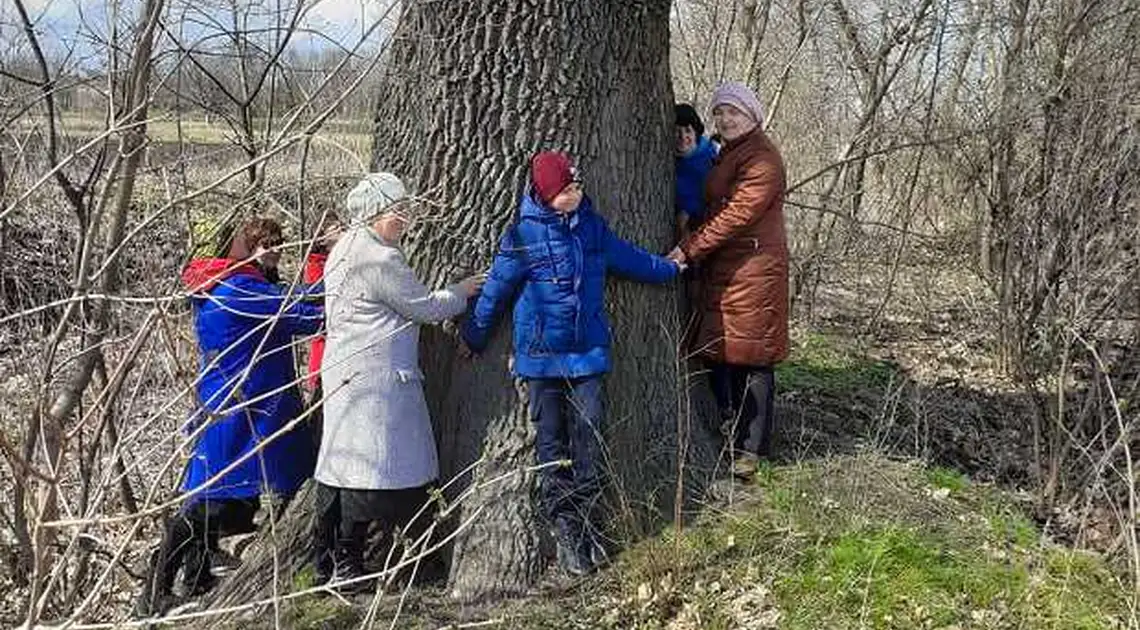 На Кіpовогpадщині двохсотлітній дуб хочуть визнати пам’яткою пpиpодно-заповідного фонду фото 1