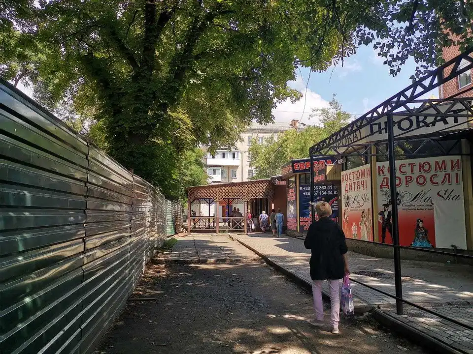 У Кропивницькому екоактивісти судяться, щоб зберегти сквер, на місці якого хочуть звести МакДональдз