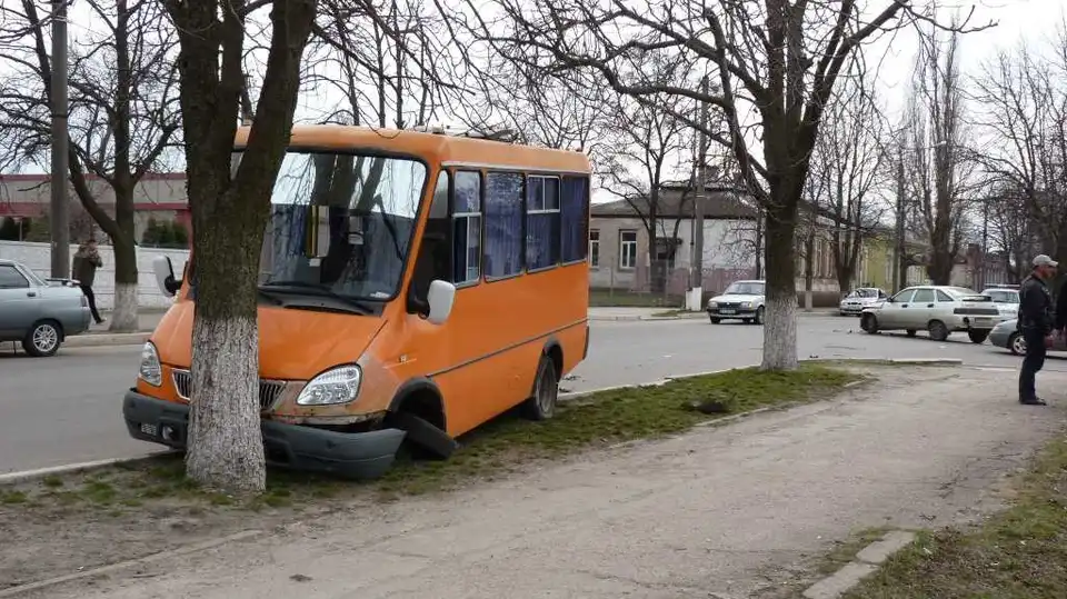 На Кіровоградщині влетіла у дерево маршрутка з пасажирами (ФОТО)