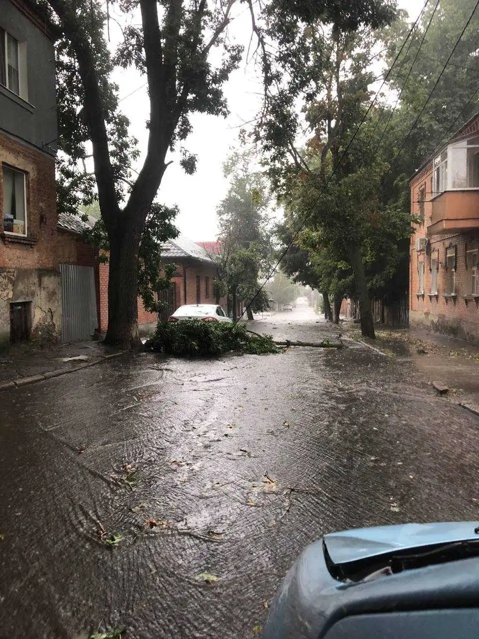 Обірвані дроти та повалені дерева: у Кропивницькому негода наробила лиха (ФОТО, ВІДЕО)