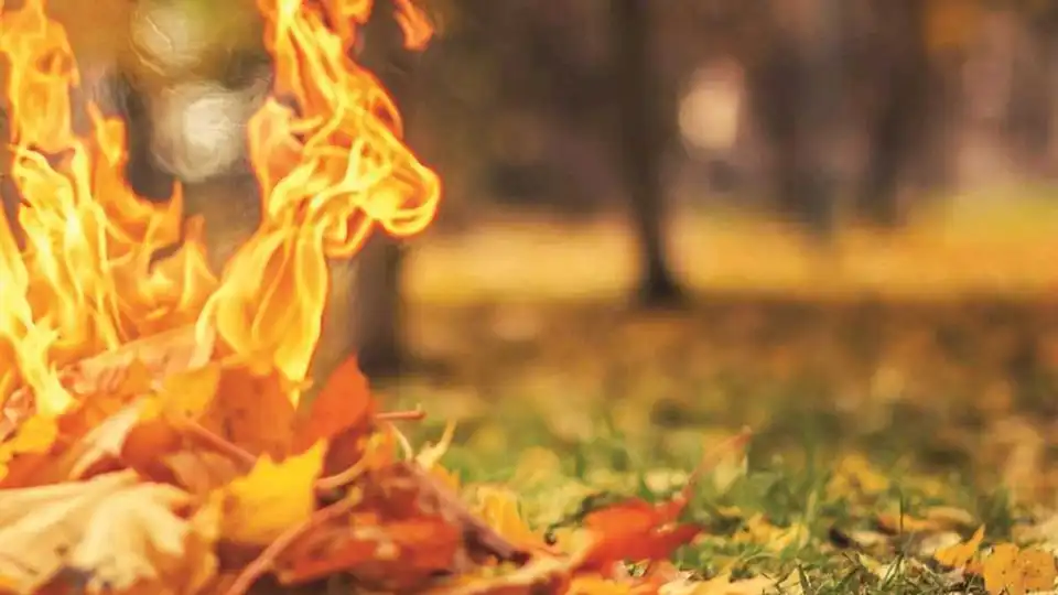 У Кропивницькому штрафуватимуть паліїв листя