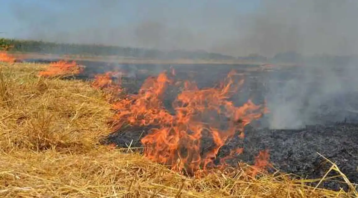 На Кіровоградщині мешканці приватного сектору змусили кашляти ціле місто (ВІДЕО) фото 1