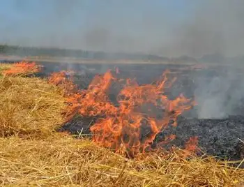 На Кіровоградщині мешканці приватного сектору змусили кашляти ціле місто (ВІДЕО) фото 1