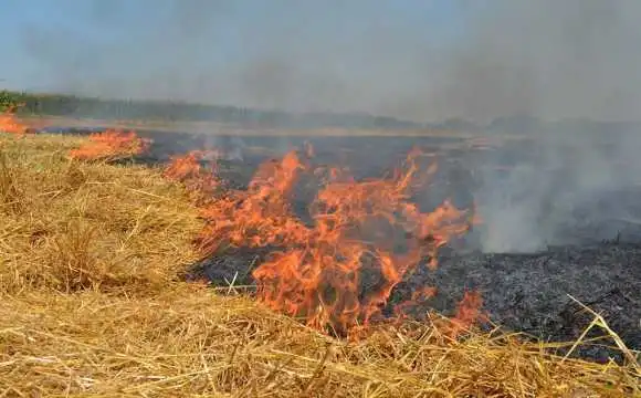 На Кіровоградщині мешканці приватного сектору змусили кашляти ціле місто (ВІДЕО) фото 1