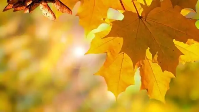 Кіровоградщина: синоптики розповіли, яка погода буде на вихідних