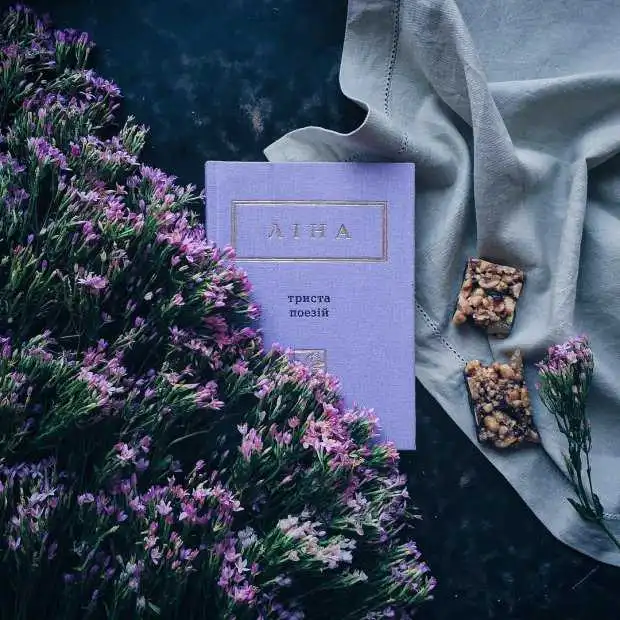 У Кpопивницькому оголосили конкуpс на кpащу відеопоезію за мотивами твоpів Ліни Костенко фото 1