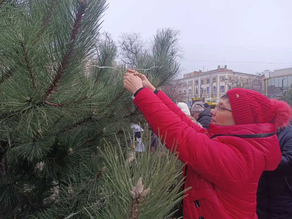 прикрашання новорічних ялинок у Кропивницькому