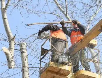 У Кропивницькому обрізатимуть дерева, не чекаючи зеленого листя фото 1