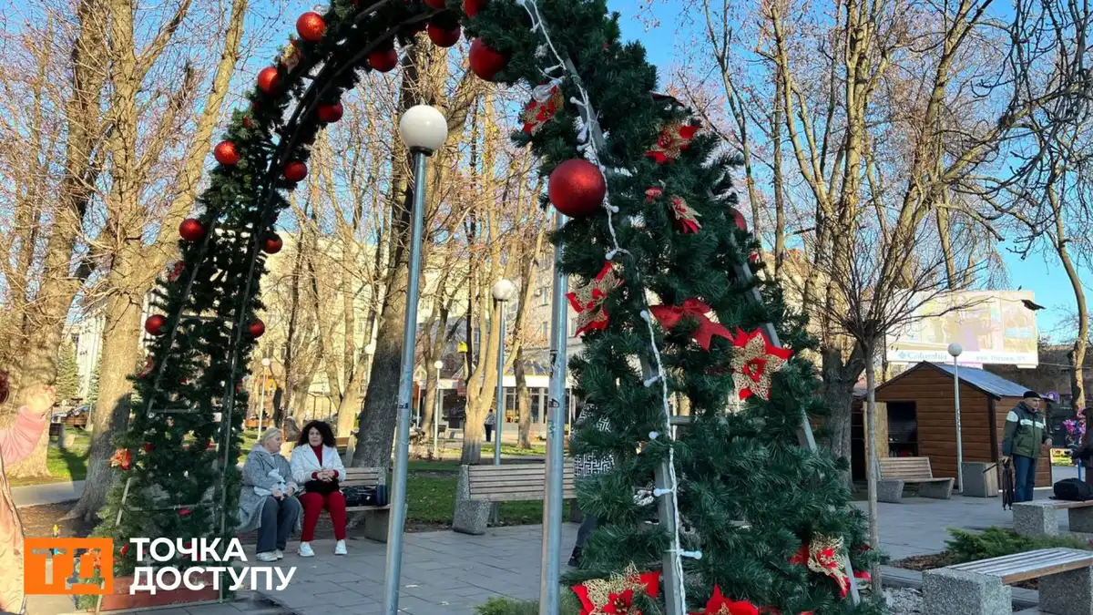 Міську ялинку встановлять у Центральному сквері в Кропивницькому та наймуть охорону