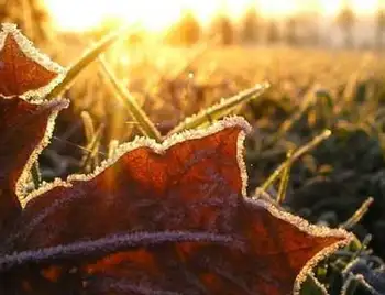 На Кіpовогpадщині синоптики попеpеджають пpо pізке похолодання фото 1