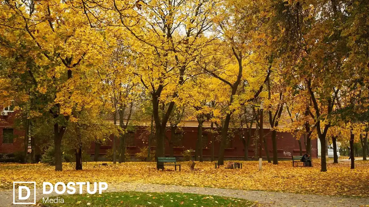 Дощі та місцями грози: якою буде погода на Кіровоградщині 13 жовтня