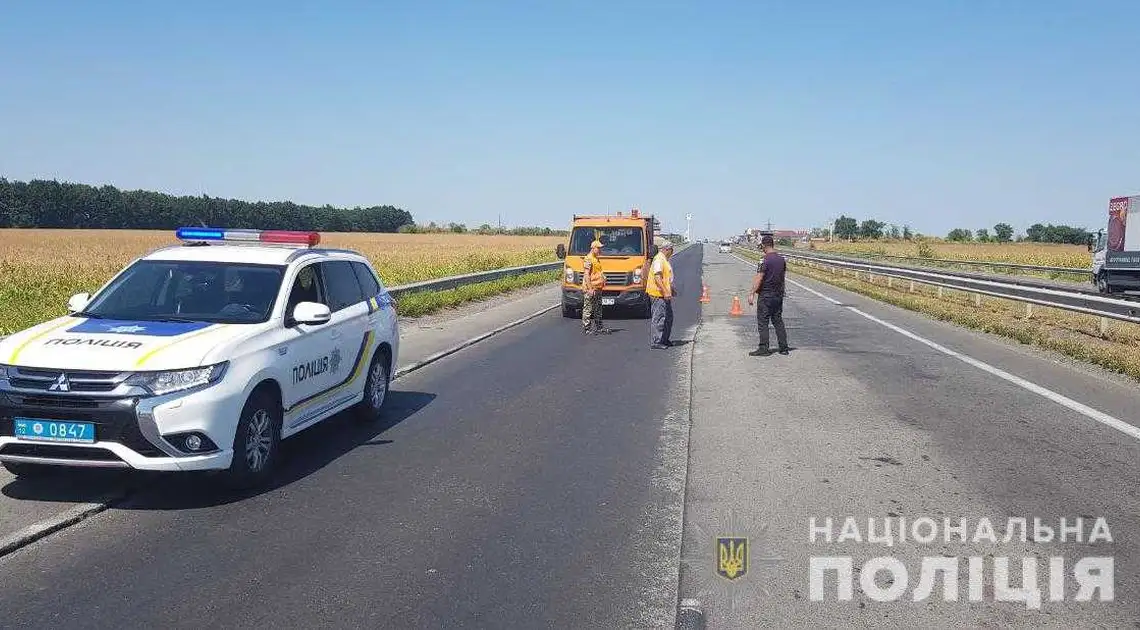 Перевірка доріг Кіровоградщини: майже 200 посадовців притягнули до відповідальності фото 1
