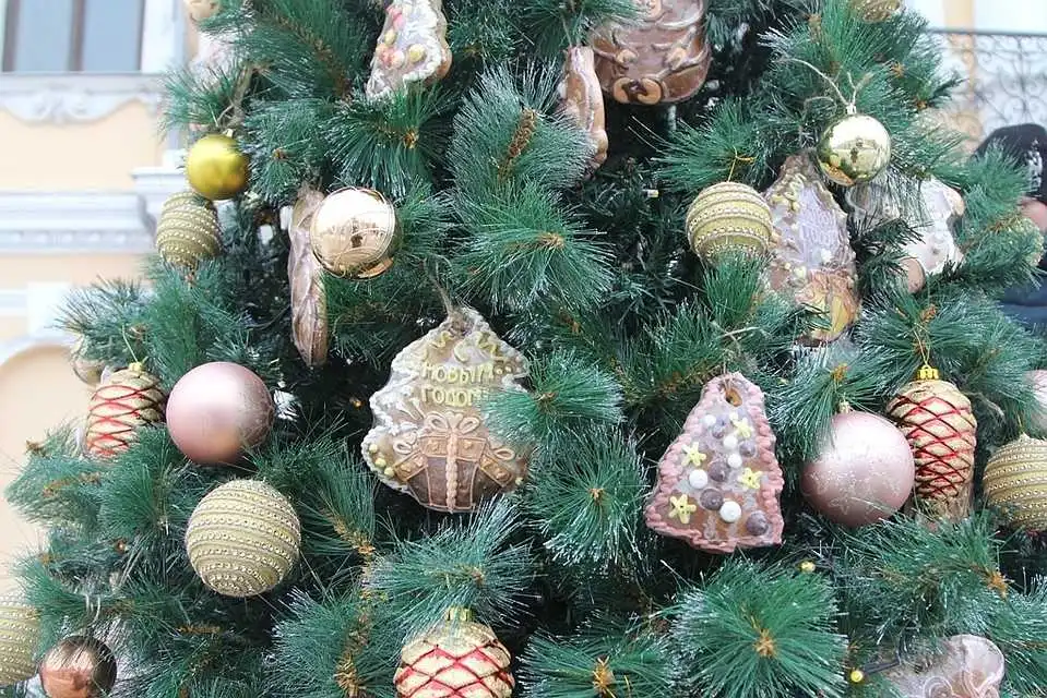 У місті на Кіровоградщині встановлюють дві новорічні ялинки (ФОТО) фото 1