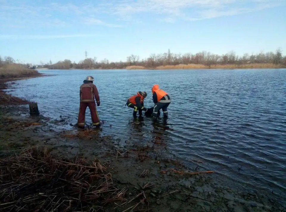 З водосховища на Кіровоградщині витягнули тіло невідомого чоловіка