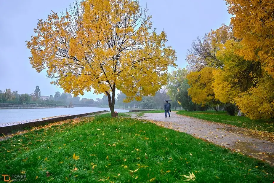 листя
