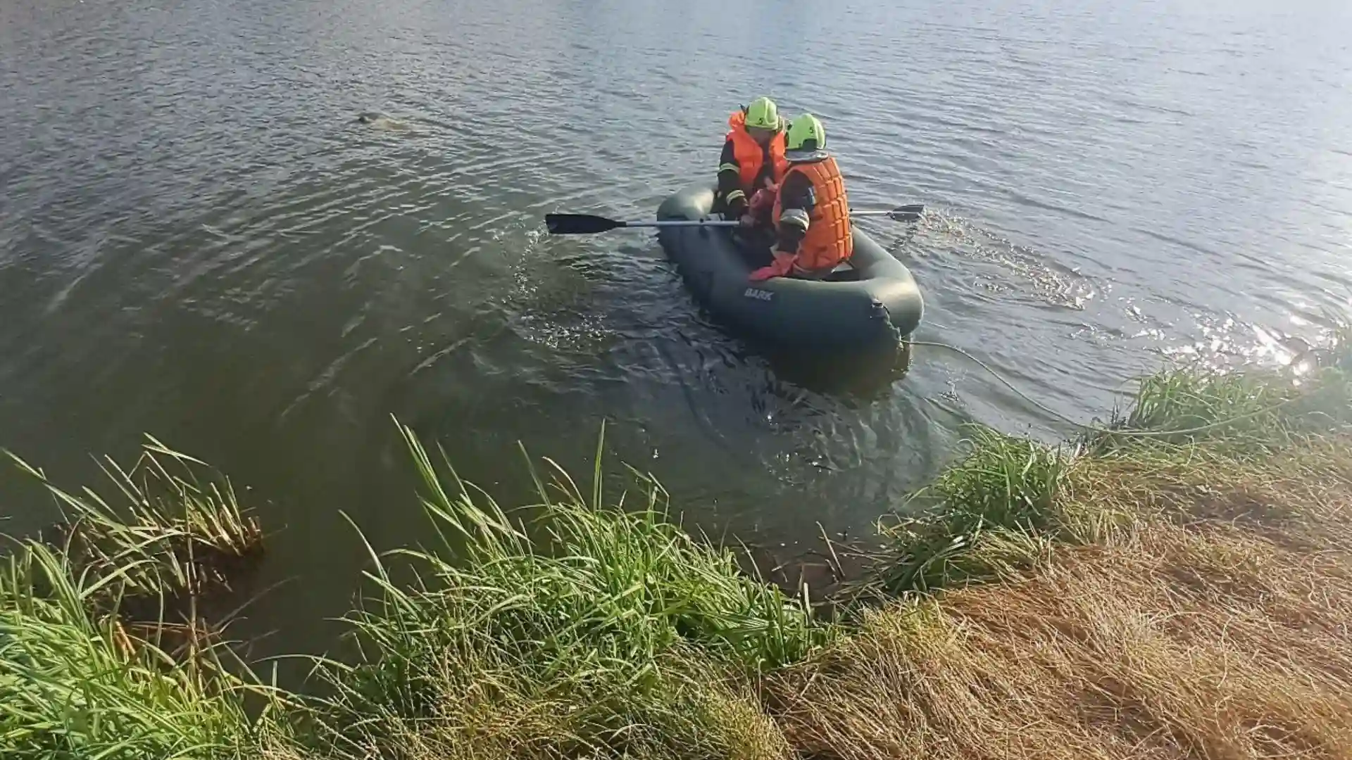 потопельник