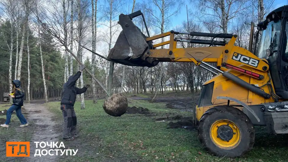 Ще 50 дерев посадили в лісопарку “Сосновий” у Кропивницькому: висаджувати дерева в цьому році там більше не будуть