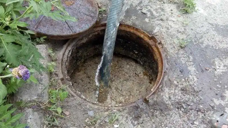 На Кіровоградщині оштрафують жінку, яка зливала нечистоти в ліс (ВІДЕО)