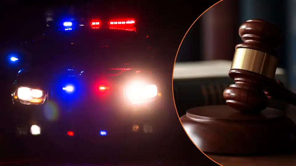 Вихопив магазин з набоями та побив: за напад на поліцейського засудили чоловіка в Олександрії