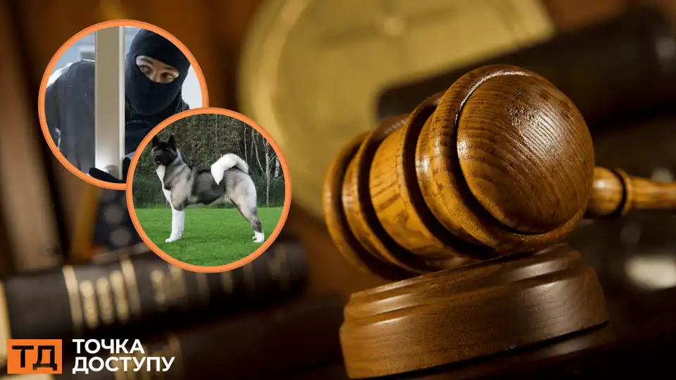 за крадіжку собаки судили чоловіка у Світловодську