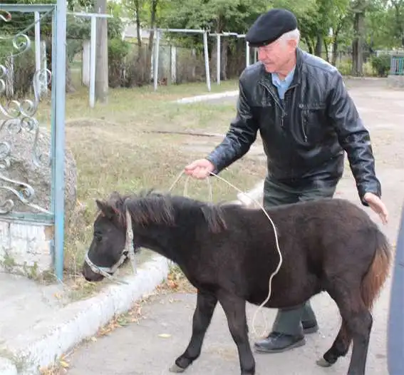 Поліцейські у Кропивницькому подарували дітям «лікувального» поні (ФОТО) фото 6