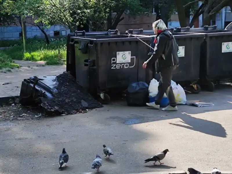 палій
