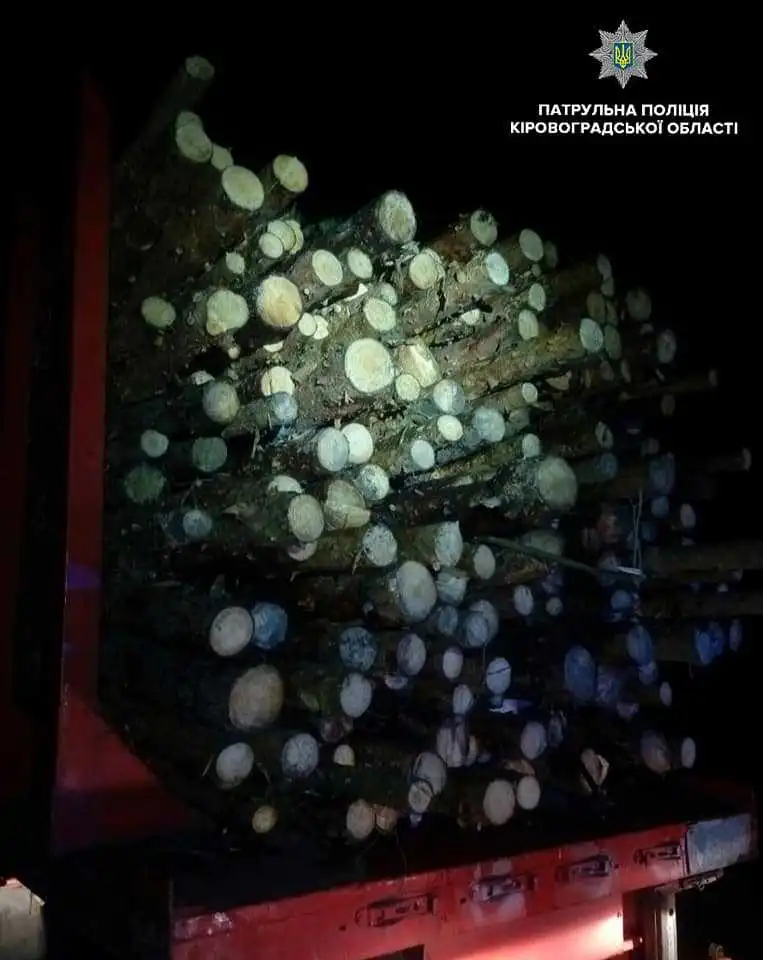 У Кропивницькому затримали вантажівку, набиту незаконною деревиною (ФОТО)