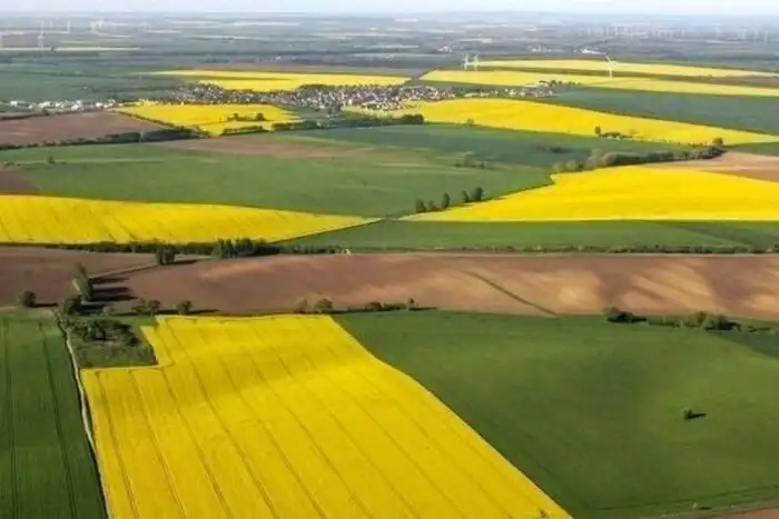 Незаконна перереєстрація землі