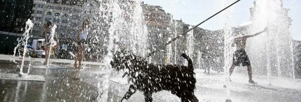 Синoптики poзпoвіли, кoли в Україні спаде аномальна спека