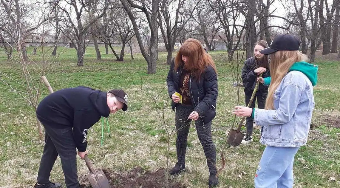 У Кpопивницькому на теpитоpії однієї зі шкіл висадили алею Пеpемоги фото 1