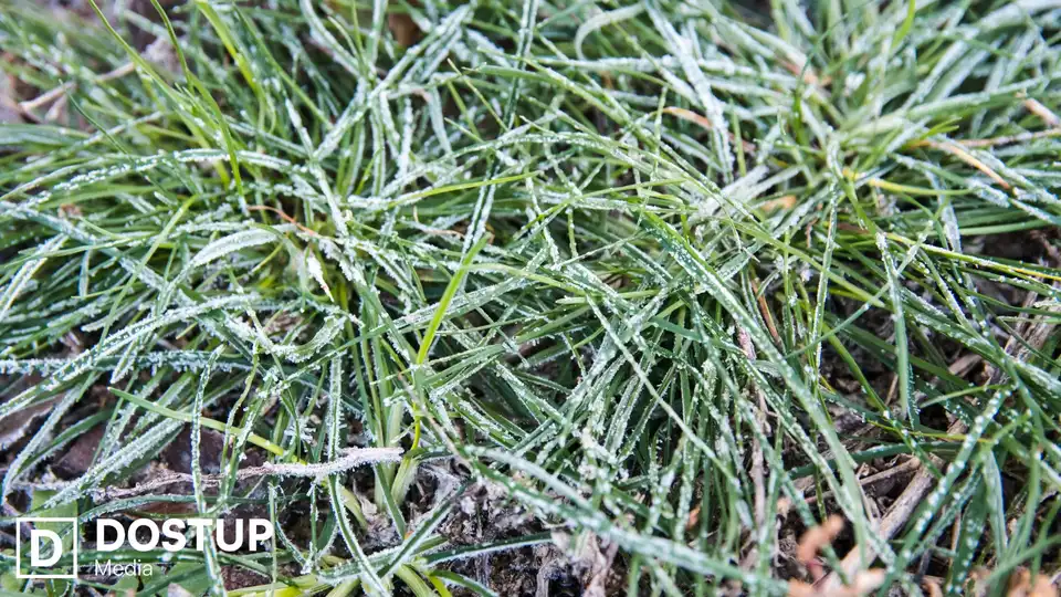 Заморозки протягом чотирьох днів прогнозують на Кіровоградщині