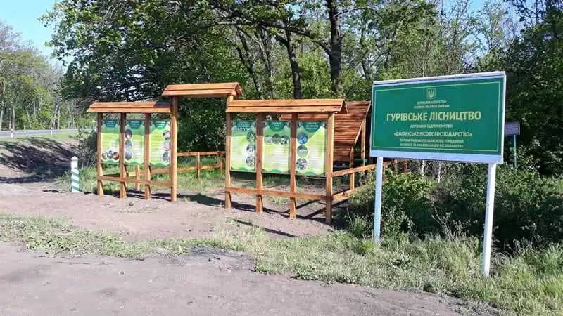 На одній із доріг Кіровоградщини лісівники облаштували зону відпочинку (ФОТО)