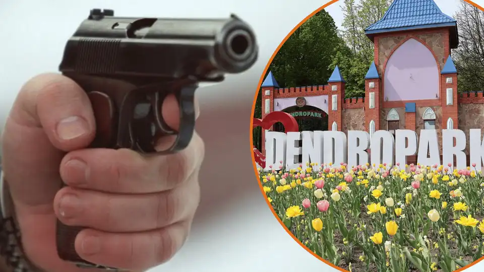 Стрілянина