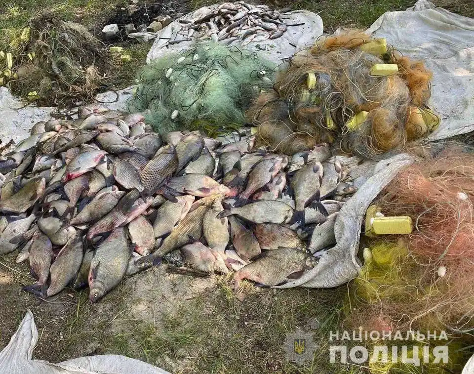 На Кіровоградщині в браконьєрів вилучили риби на понад 200 тисяч гривень (ФОТО)