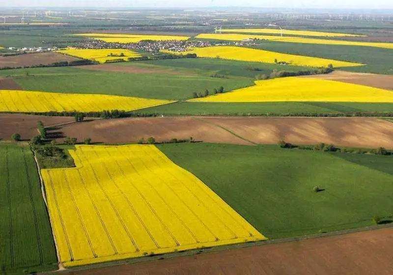 На Кіровоградщині державі хочуть повернути 168 гектарів землі, захопленої рейдерами фото 1