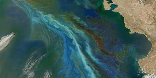 Вчені б’ють на сполох: на людство насувається глобальна катастрофа