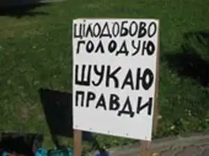 Четверо активістів «Правого сектора», яких судили в Кіровограді, оголосили голодування фото 1