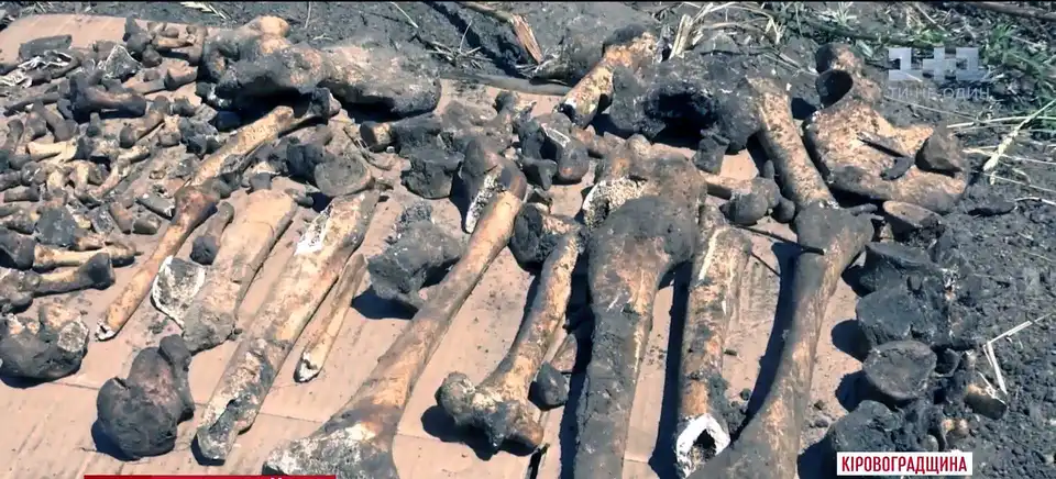 Під Кропивницьким знайшли братську могилу з арсеналом боєприпасів (ВІДЕО) фото 1