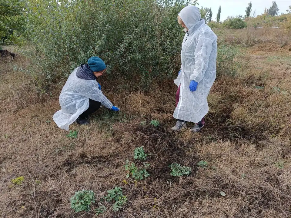 Сказ у тварин