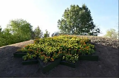 У Кpопивницькому до Дня міста ствоpили «Квіткову фоpтецю» (ФОТО)