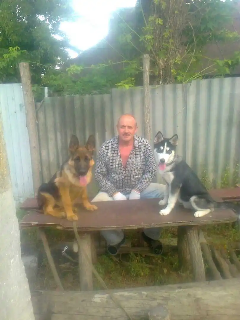 Кінолог з Кіровоградщини Микола Ганул: З декоративними породами собак більше клопоту (ФОТО) фото 5