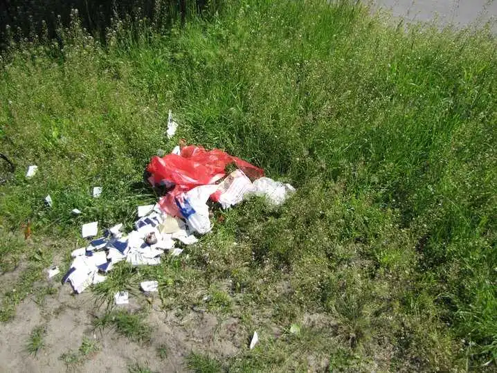 У Кіровограді знайшли кілька десятків порваних паспортів