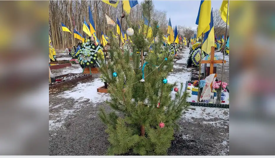 Ялинка на кладовищі