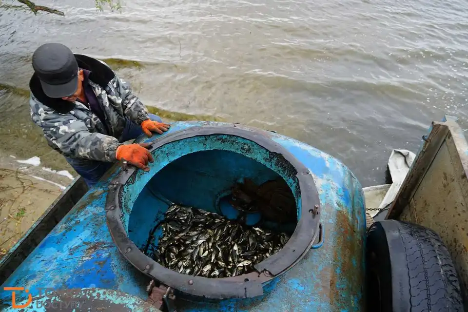 Водосховище на Кіровоградщині зарибнили понад 3 тоннами риб-санітарів (ФОТО) фото 10