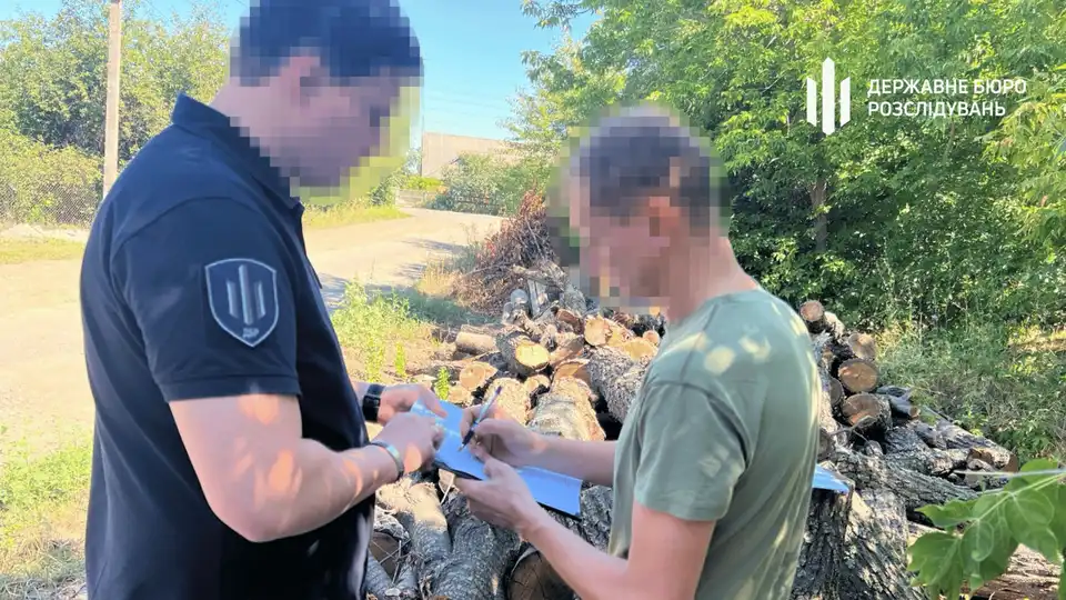вирубка столітніх дерев у Кіровоградській області: лісничому оголосили підозру