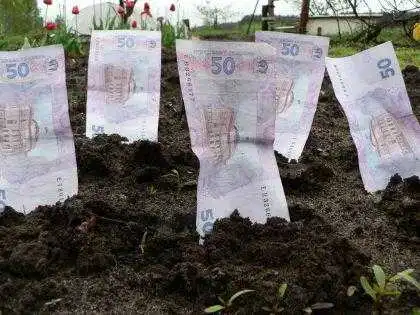На «земельній» корупції нажились одинадцять посадовців Кіровоградщини фото 1